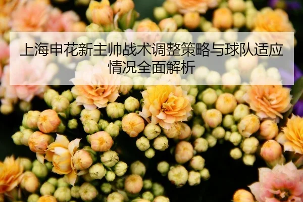 上海申花新主帅战术调整策略与球队适应情况全面解析